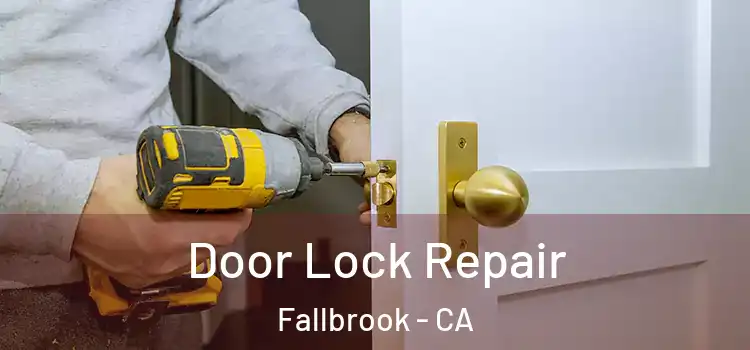 Door Lock Repair Fallbrook - CA